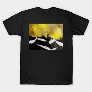 Feathers of a American Goldfinch T-Shirt